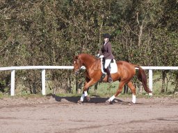 IMG_7774_web